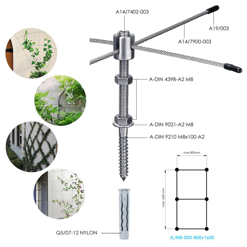 Zielona fasada typu I