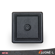 EST-RO Drzwi popielnikowe 175x175mm - Domabau.pl